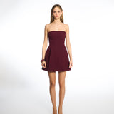 Nova Burgundy Mini Dress