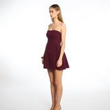 Nova Burgundy Mini Dress
