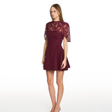 Nova Burgundy Lace Mini Dress