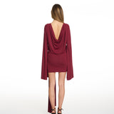 Paloma Burgundy Dress